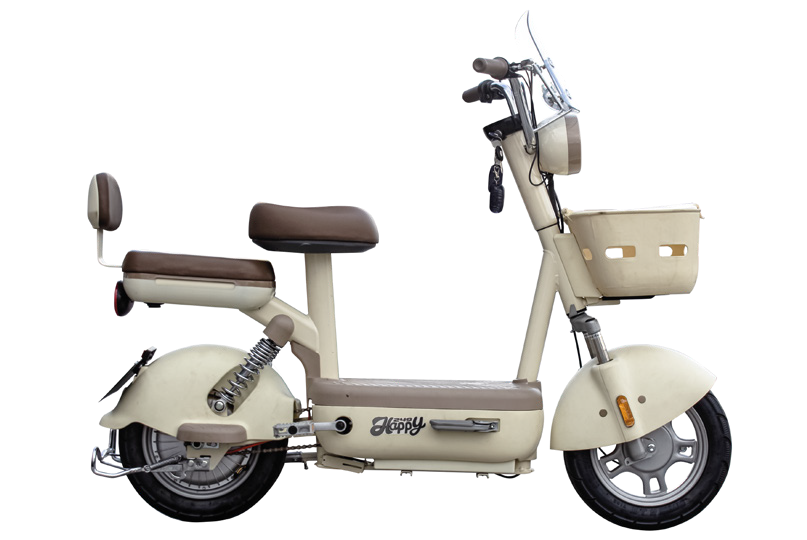 Electric two-wheeled vehicle